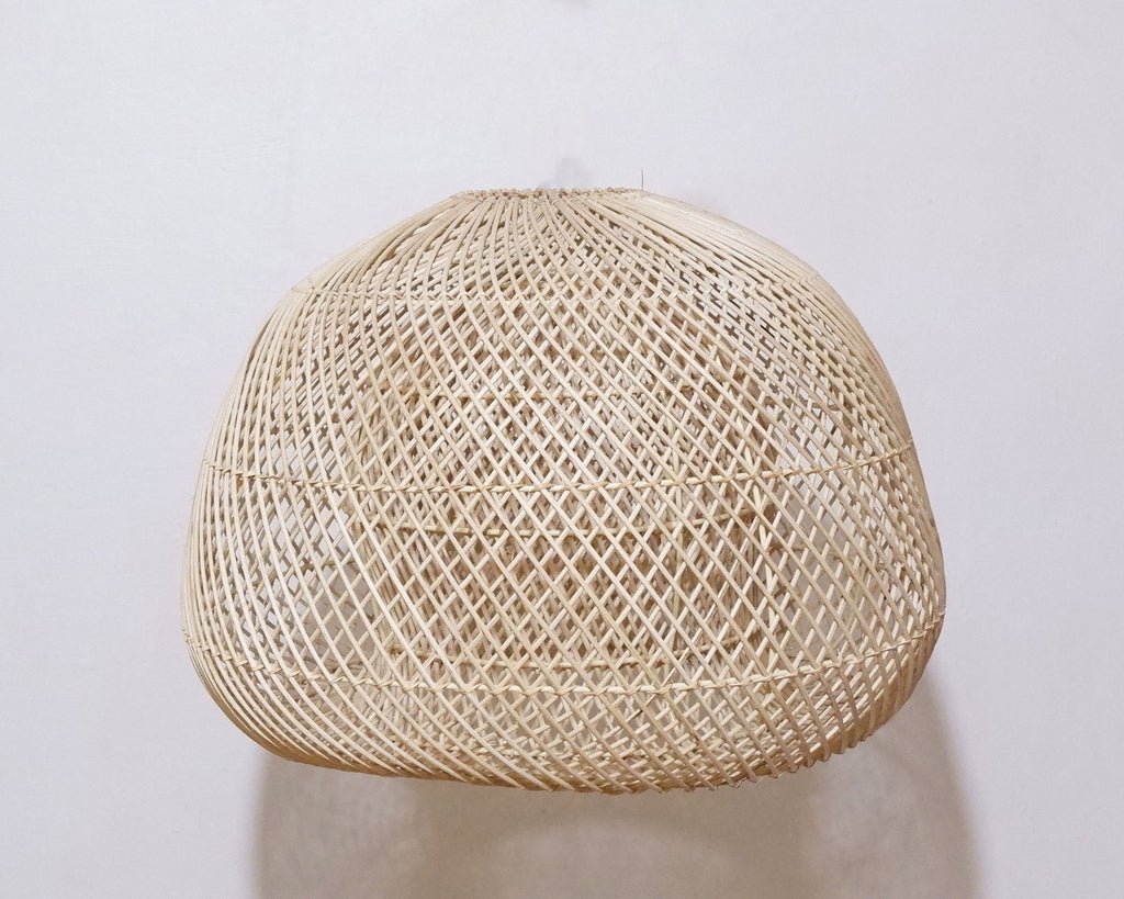 LPROT415-L_166_20250313040358_DSCF7875