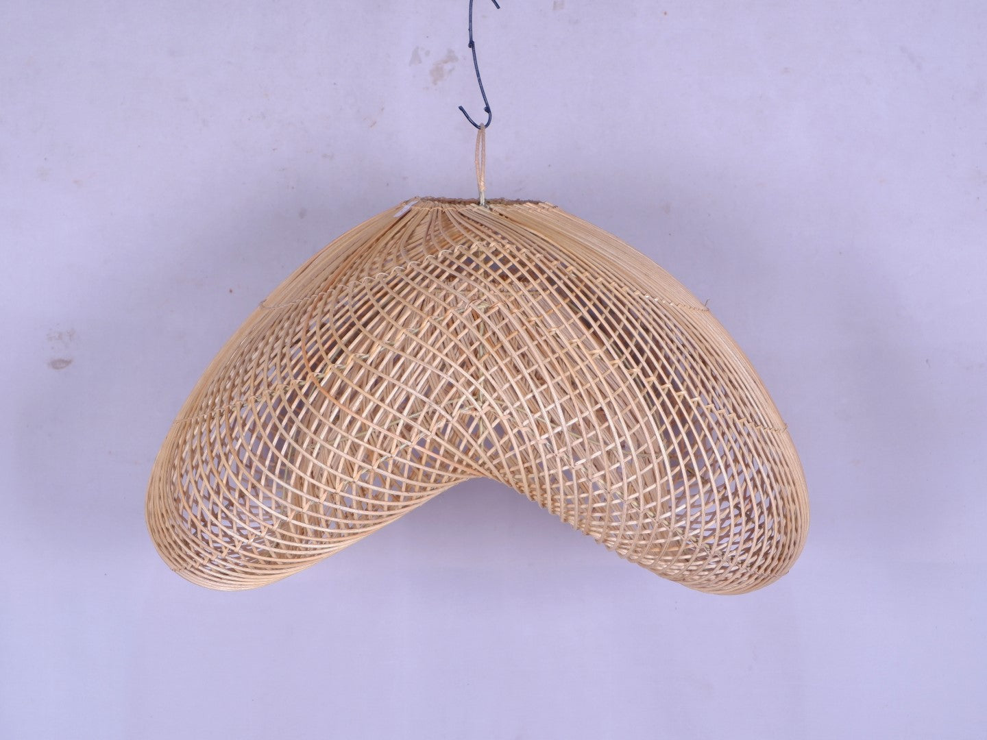 166_DSCF9034 penyu 70