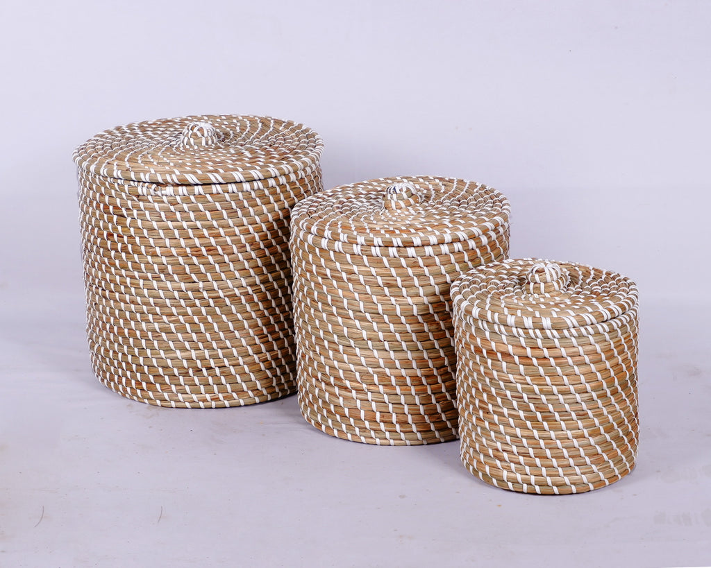 BSMEN43-3_131_DSCF5031