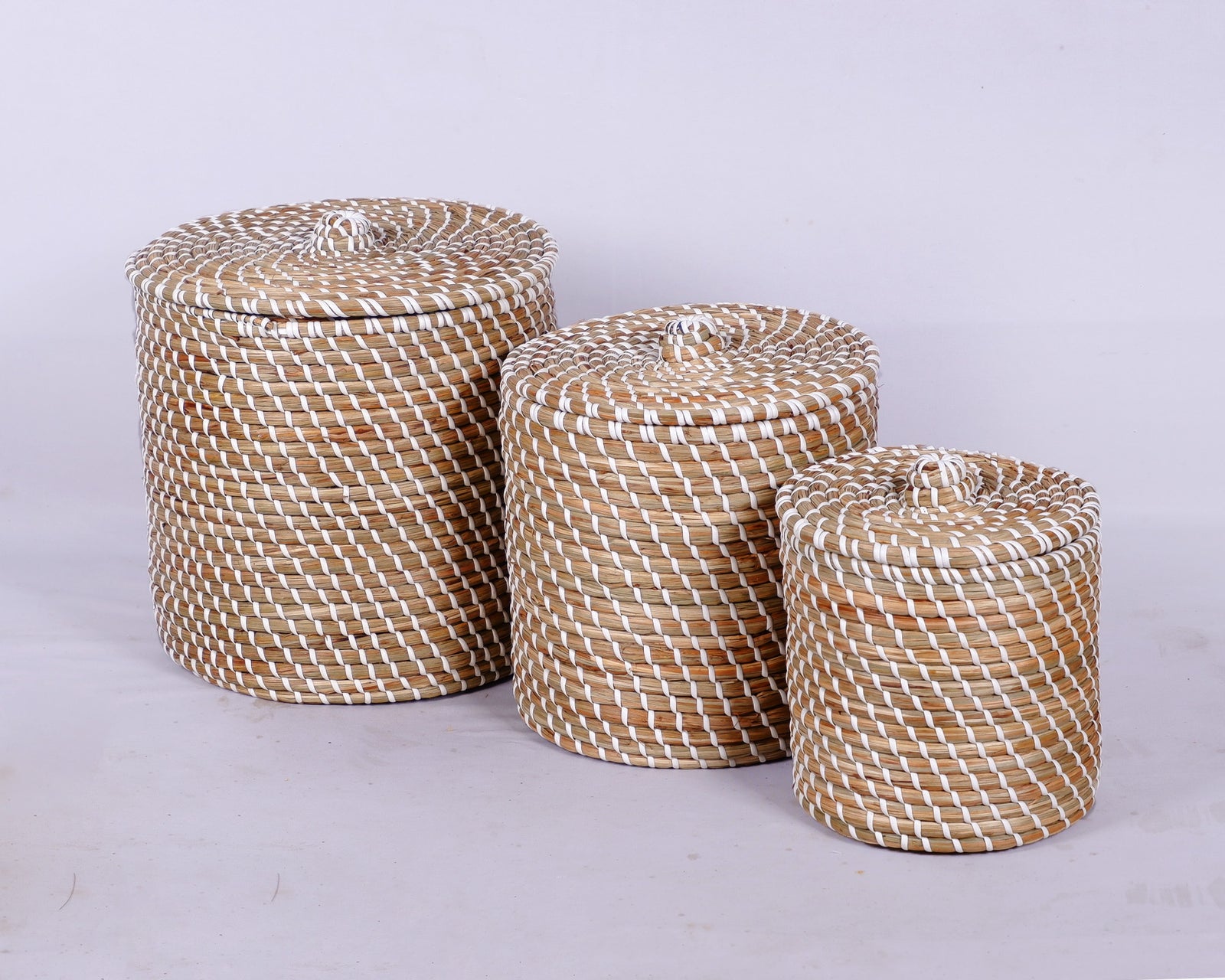 BSMEN43-3_131_DSCF5031