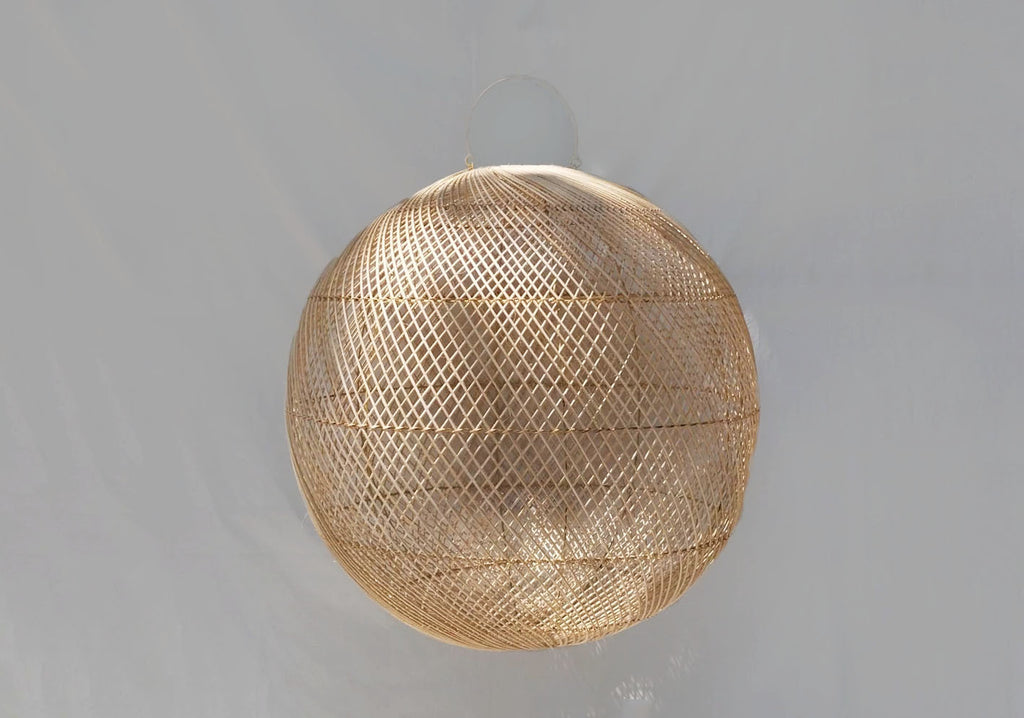 LPROT2070-M_166_20240813040829_sc1