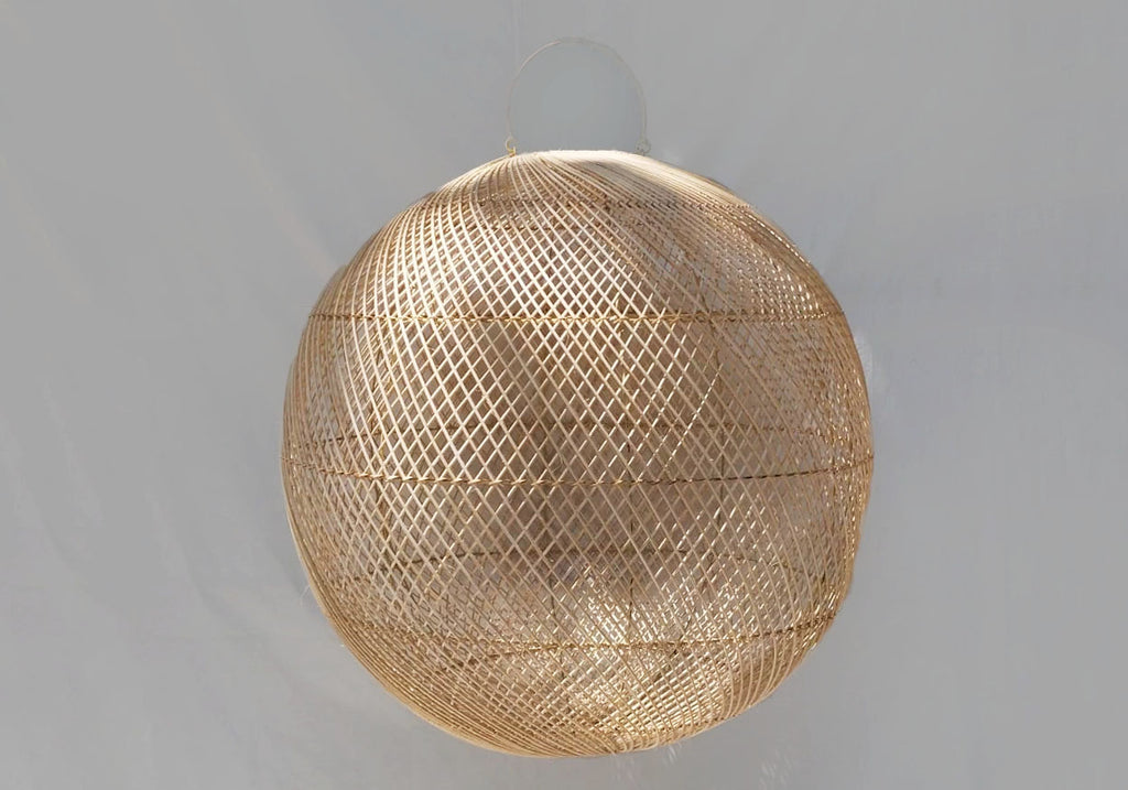 LPROT2070-L_166_20240813040842_sc2