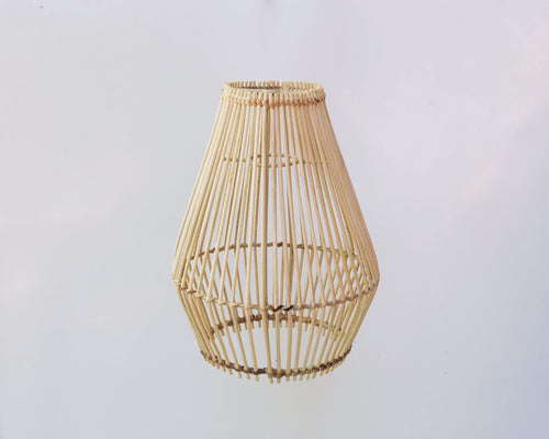 LPROT941_166_20250122040112_DSCF5751