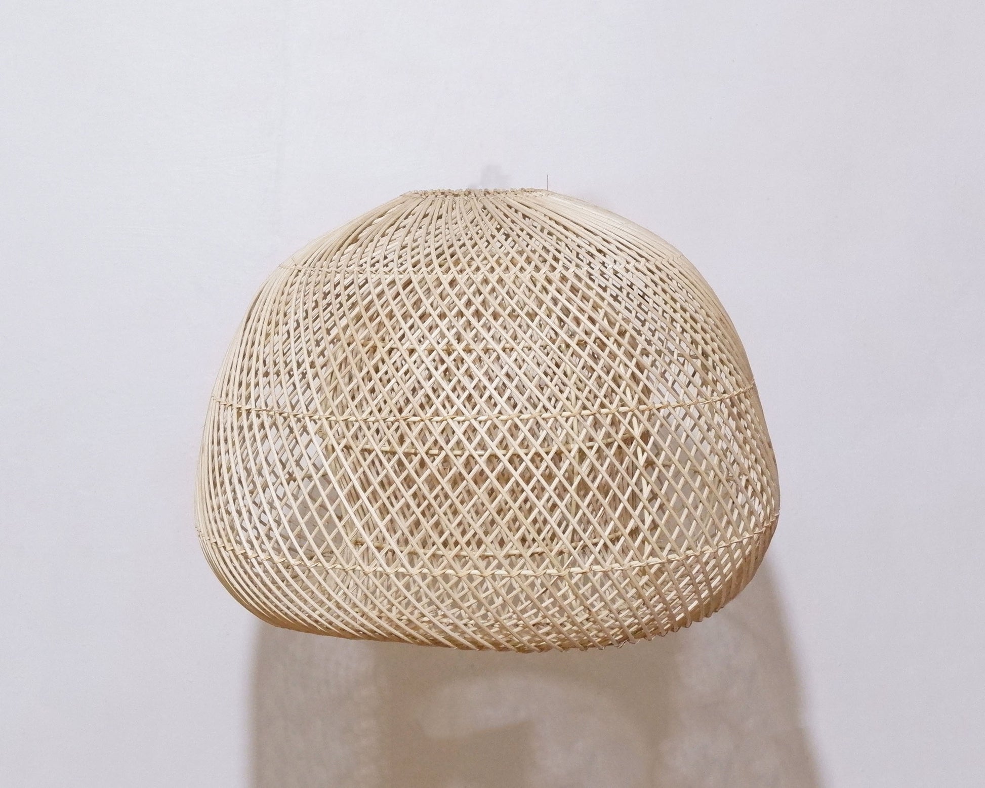 LPROT415-M_166_20250313040346_DSCF7875